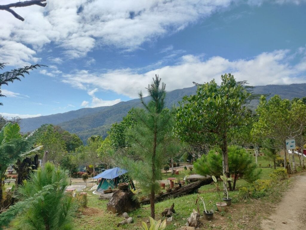 Gig Ridge Photos Environment