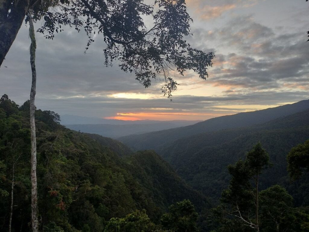 Gig Ridge Early Morning
