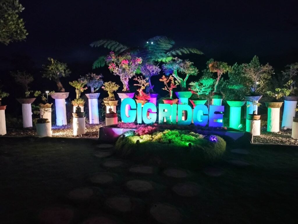 Gig Ridge Night