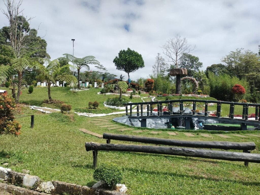 Gig Ridge Fish Pond view