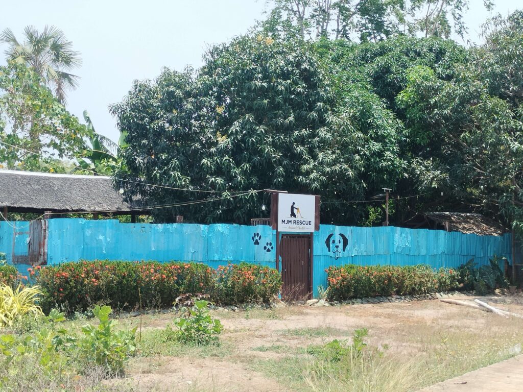 Tiquianos Beach Resort Rescue for animals